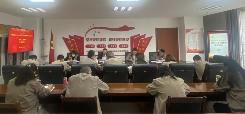 錘煉黨性找差距 堅(jiān)定信念促擔(dān)當(dāng)&mdash;&mdash;青海物產(chǎn)朝陽(yáng)物流開(kāi)發(fā)投資有限公司黨支部開(kāi)展主題教育黨性大討論