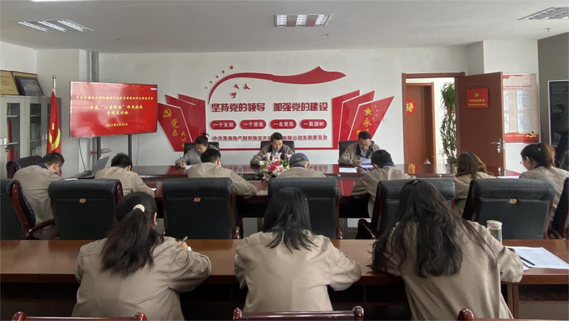 以案促改轉(zhuǎn)作風(fēng) 堅(jiān)守底線樹新風(fēng)   &mdash;&mdash;青海物產(chǎn)朝陽物流開發(fā)投資有限公司支部委員會開展&ldquo;以案促改&rdquo;作風(fēng)建設(shè)專項(xiàng)大討論