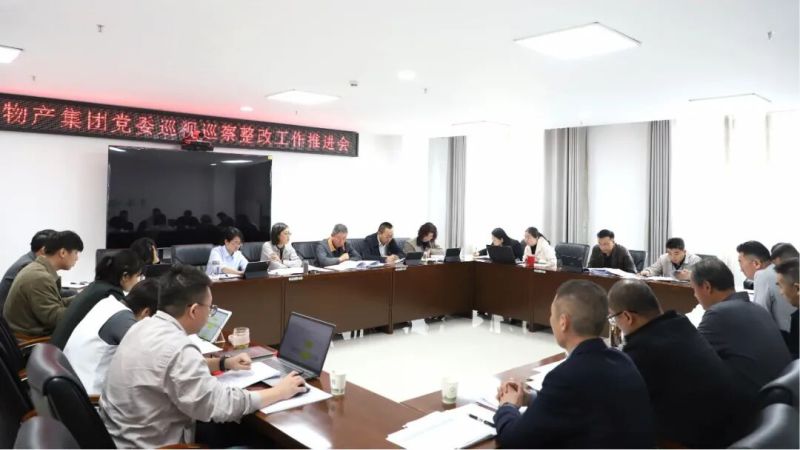 集團(tuán)黨委召開(kāi)巡視巡察整改工作推進(jìn)會(huì)